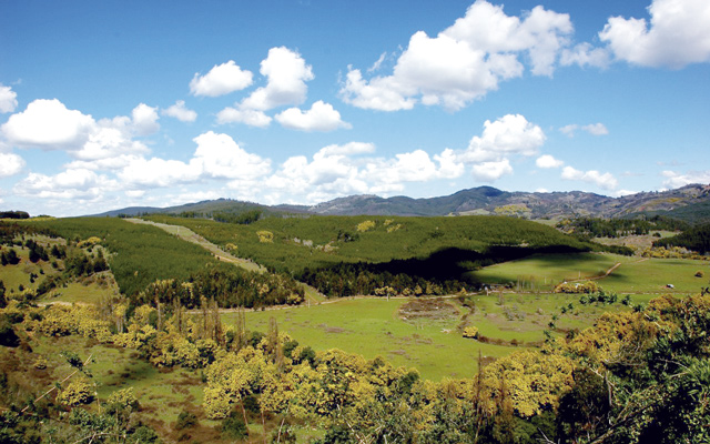 Blick auf die Landschaft bei Collipulli: Hier in der Provinz Malleco will die deutsche Firma wpd einen Windpark errichten.