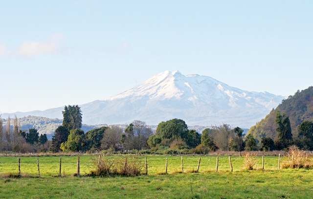 El Volcan Calbuco desde El Terreno. Todas las parcelas tienen vista hacia el volcán Calbuco, en primer plano, así como también hacia el volcán Osorno. (Fotografía 2016, Erika Klein)