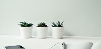 Digitale und analoge Lesekompetenz – möglichst nachhaltig fördern Kommentar