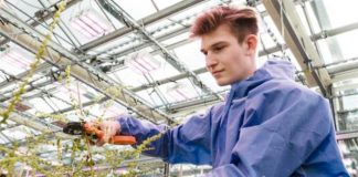 Saatgut satt: Pflanzentechnologen brauchen Forschergeist