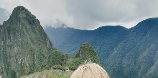 Peter Mayer-Telger – österreichischer Konsul in Chile