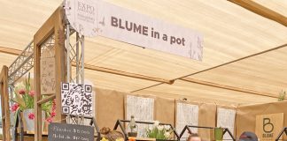 Ausstellung zur nachhaltigen Garten-Gestaltung