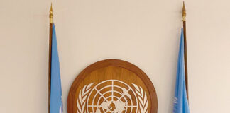 Porträt – Carolina Behn