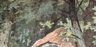 Die Brüder Grimm und ihr weltberühmtes Märchenerbe