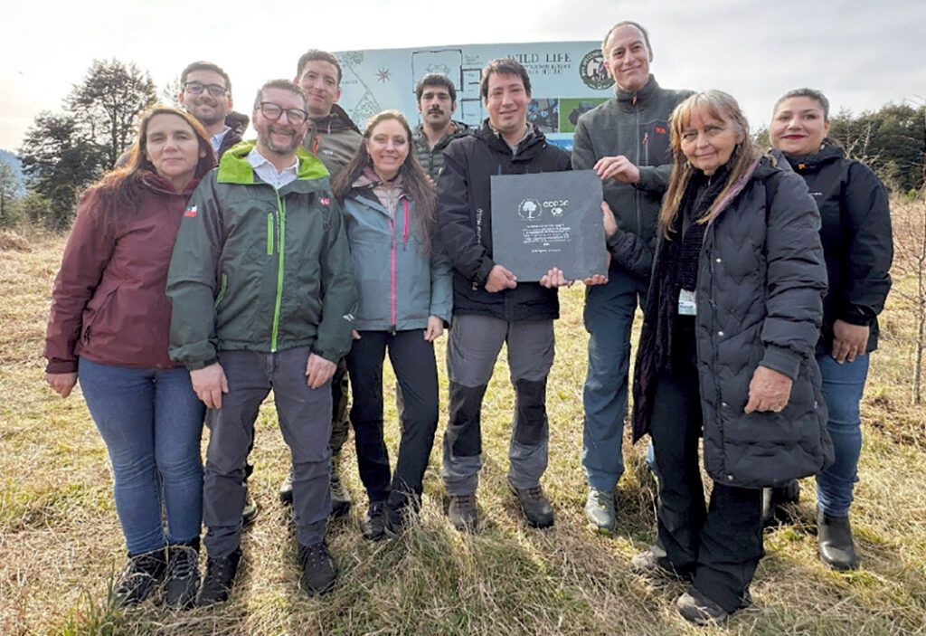 Fundaciones y sus participantes